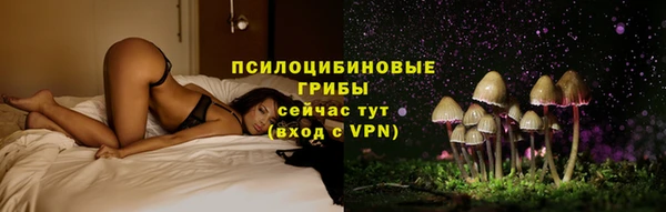 ПСИЛОЦИБИНОВЫЕ ГРИБЫ Горняк