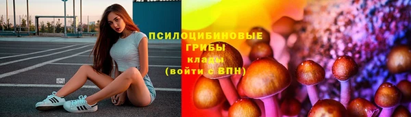 бутират Горнозаводск