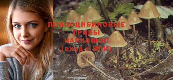 прущая мука Горно-Алтайск
