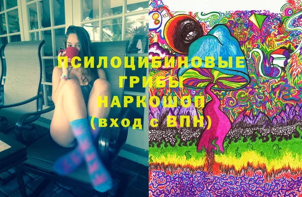 ПСИЛОЦИБИНОВЫЕ ГРИБЫ Горняк