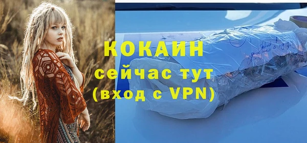 ПСИЛОЦИБИНОВЫЕ ГРИБЫ Горняк