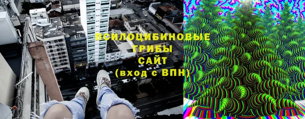 ПСИЛОЦИБИНОВЫЕ ГРИБЫ Горняк