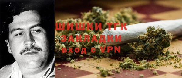 ПСИЛОЦИБИНОВЫЕ ГРИБЫ Горняк